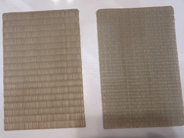NEC_0027.JPG